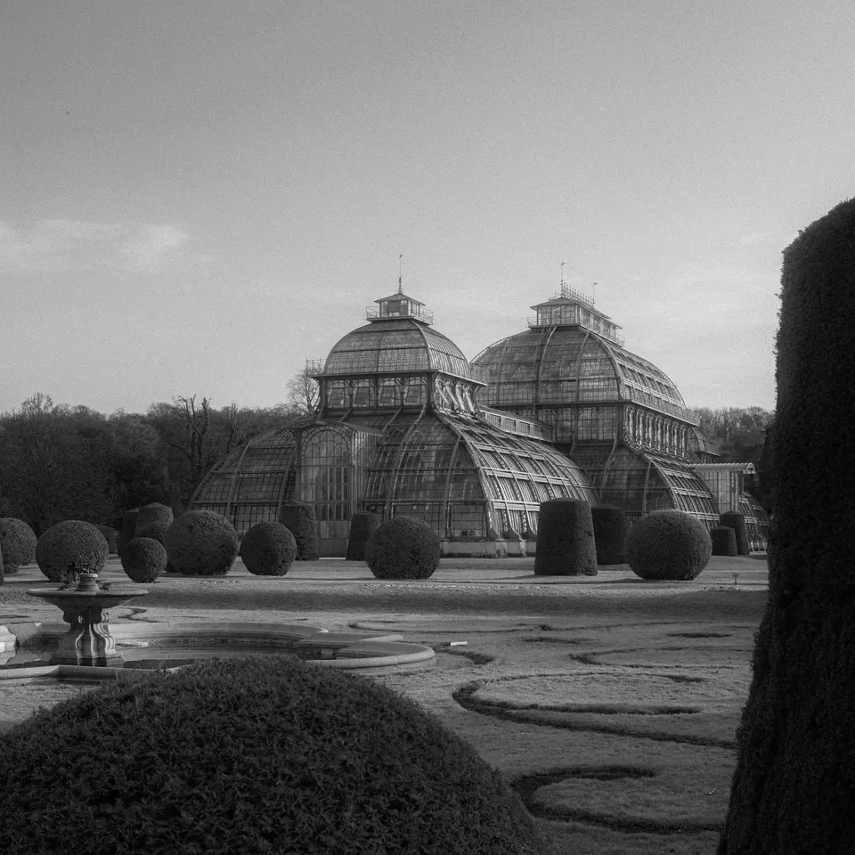 Palmenhaus