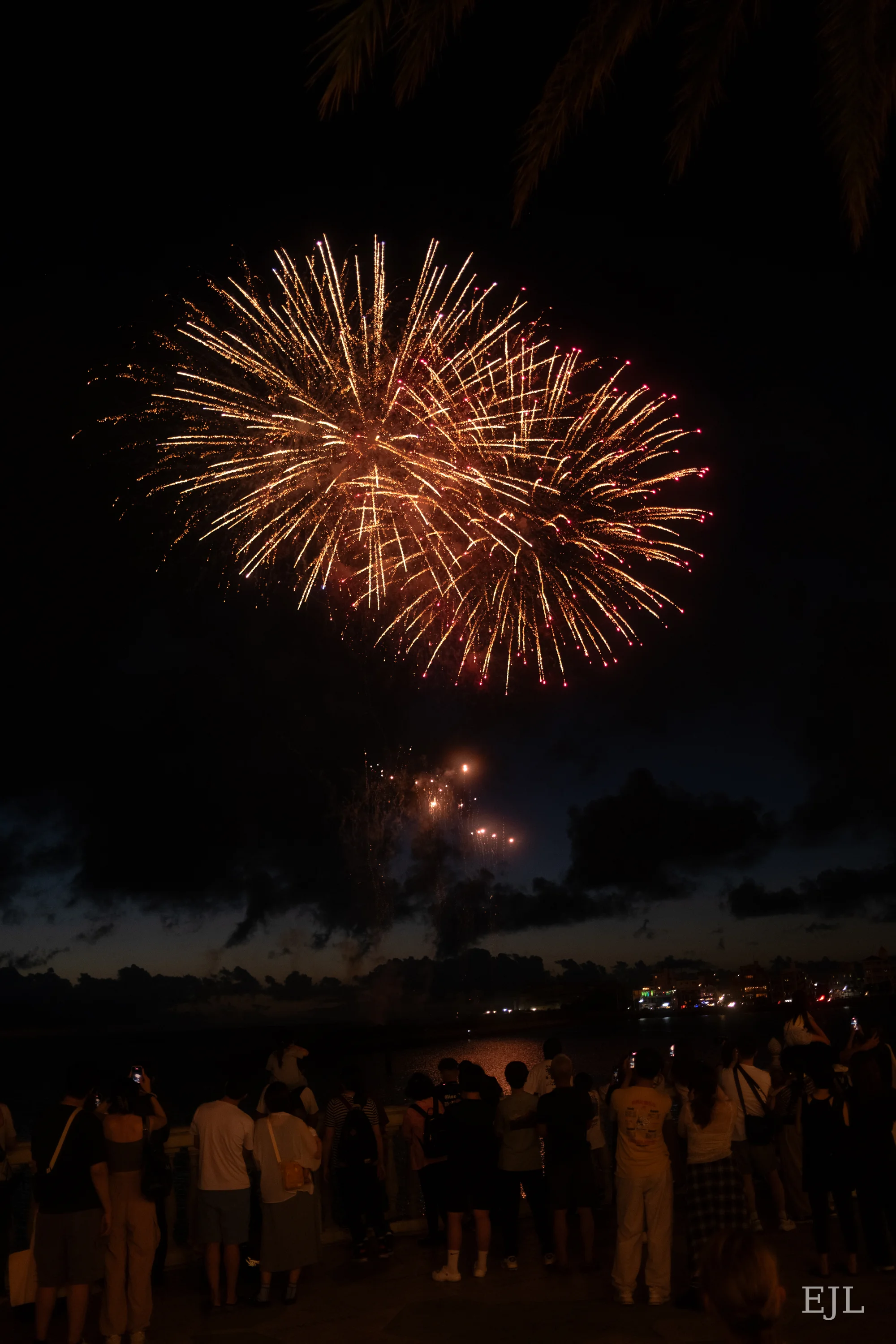 Firework